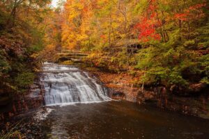 Bankhead National Forest Fall