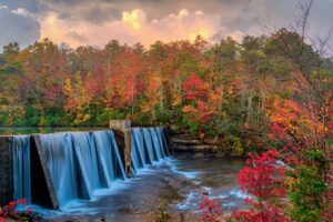 Bethal Springs Nature Preserve Fall