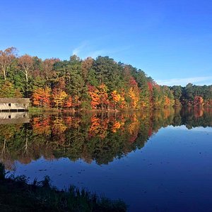 Hays Nature Preserve Fall